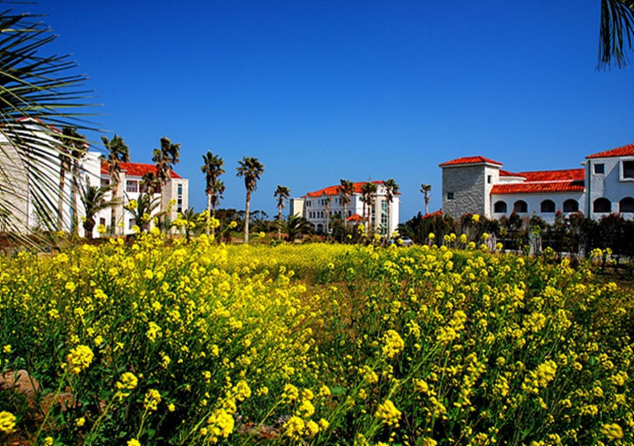 Lasania Resort مدينة سيوجويبو المظهر الخارجي الصورة